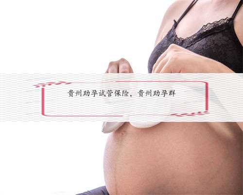 贵州助孕试管保险，贵州助孕群