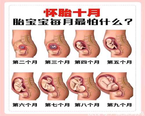 代生孩子微信群    ：泰国试管婴儿试管助孕的几