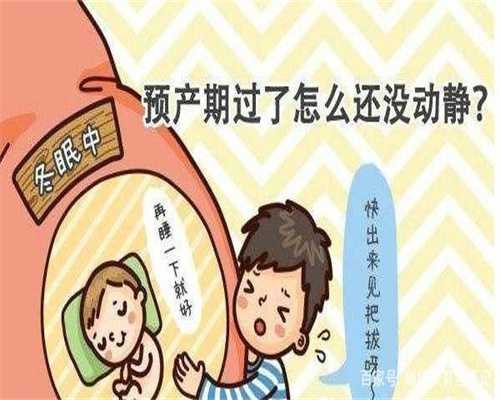 广州供卵代孕,北京代孕机构,北京职业代孕,做试