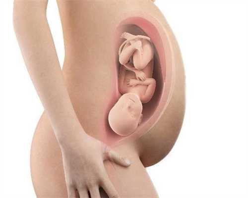 代孕的流程-代孕包成功哪家好-孕妇能吃玫瑰花酸