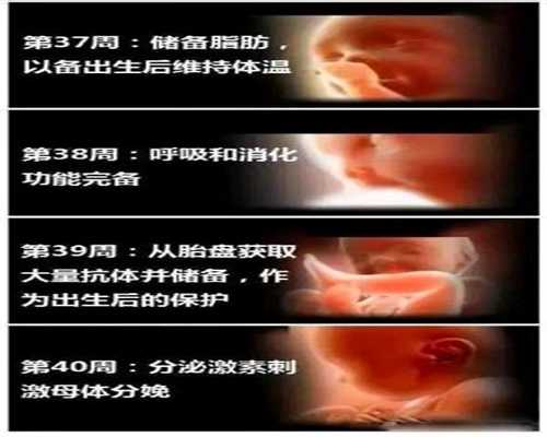 国内有几家代孕机构~52岁借卵子生子有效预防早