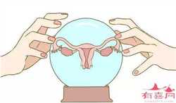贵阳捐卵代孕公司,美国的捐卵流程