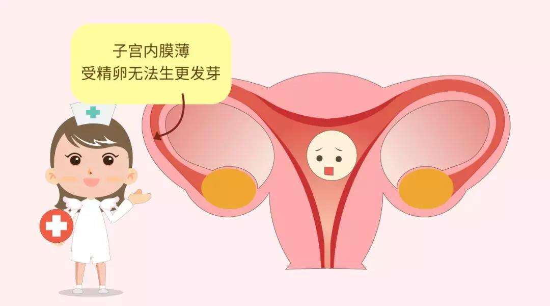 怎么计算子宫内膜的厚薄，怎么科学保养子宫内膜？